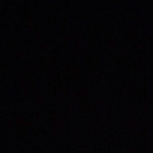 Meet your Posher, Dylan